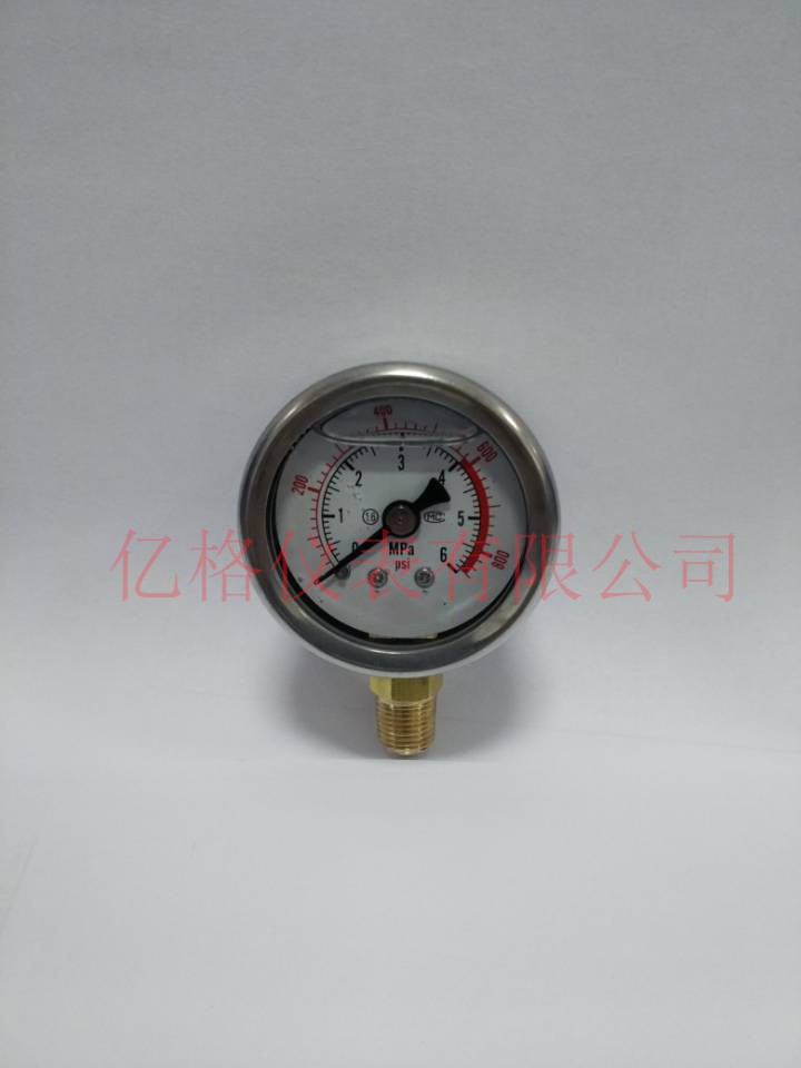 40徑向充油表 6MPa 1/8 NPT接頭 不銹鋼40徑向充油表，6MPa