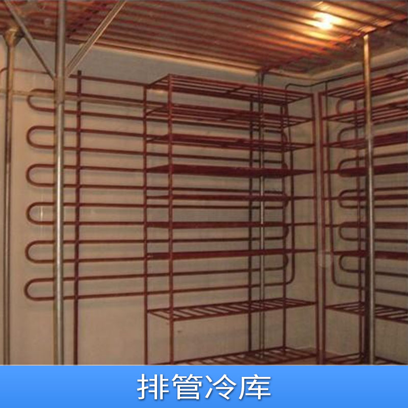廠家直銷冷凍庫 冷凍房 冷凍室 倉儲冷庫 排管冷庫 冷庫定做批發(fā) 排管廚房冷庫