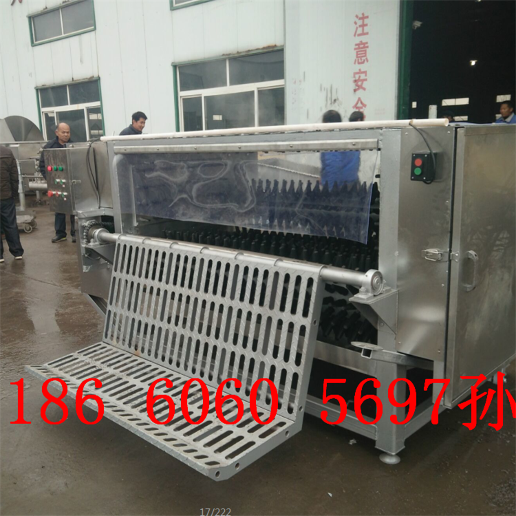 全自動羊脫毛機 整羊打毛機