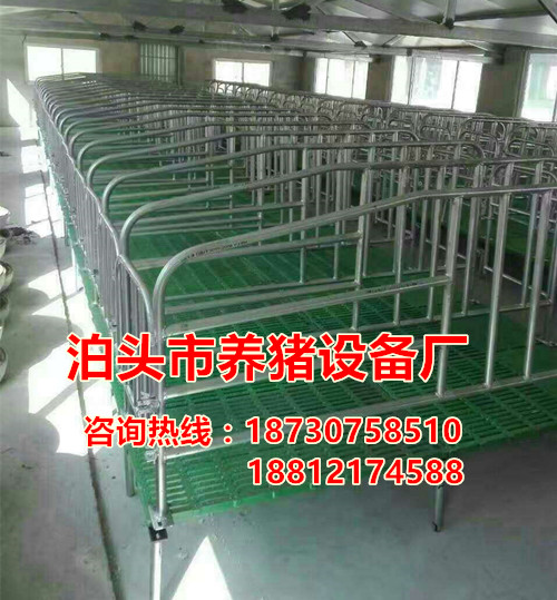 一套復(fù)合母豬限位欄的價格是多少 十頭母豬的定位欄廠家報價泊頭宏基