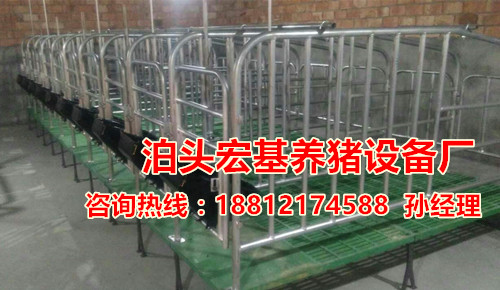一套復(fù)合母豬限位欄的價格是多少 十頭母豬的定位欄廠家報價泊頭宏基