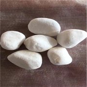 靈壽廠家大量批發(fā)鵝卵石 魚缸裝飾用白石子 機制石米 庫存量大