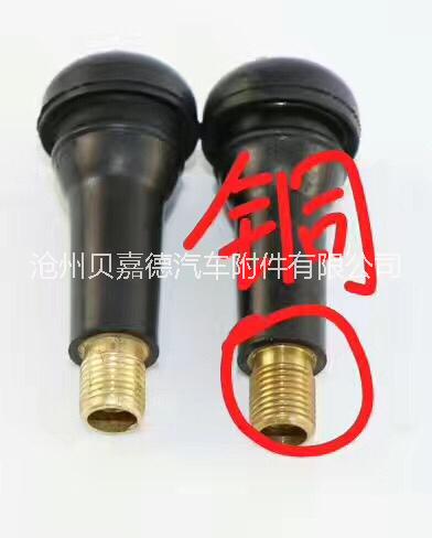廠家直銷卡扣式真空無內(nèi)胎氣門嘴