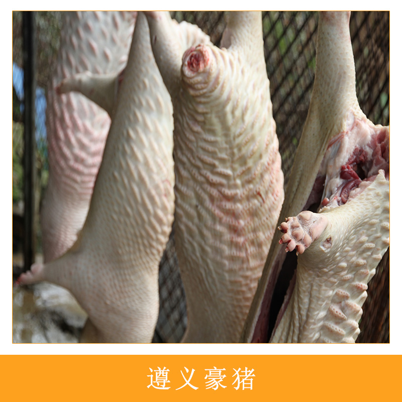 遵義*人工生態(tài)養(yǎng)殖高成活率*種苗優(yōu)質(zhì)刺豬*肉養(yǎng)殖基地直銷