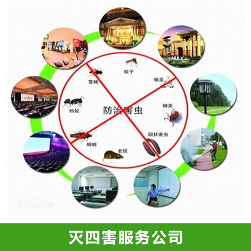 滅四害服務(wù)公司設(shè)備 專注害蟲消滅服務(wù) 專業(yè)除蟲 無味 無刺激 無污染 歡迎來電咨詢