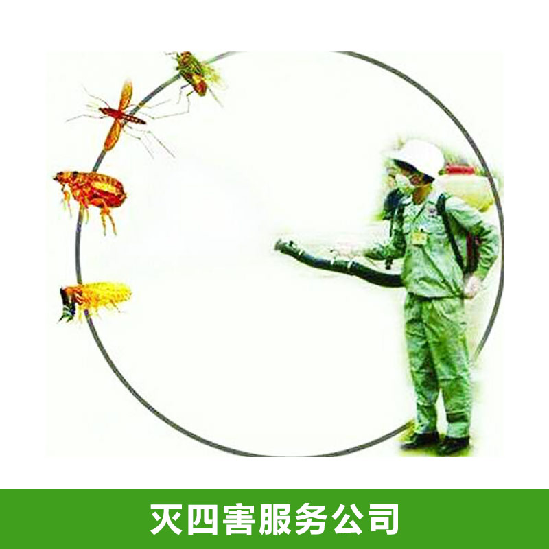 滅四害服務(wù)公司設(shè)備 專注害蟲消滅服務(wù) 專業(yè)除蟲 無味 無刺激 無污染 歡迎來電咨詢
