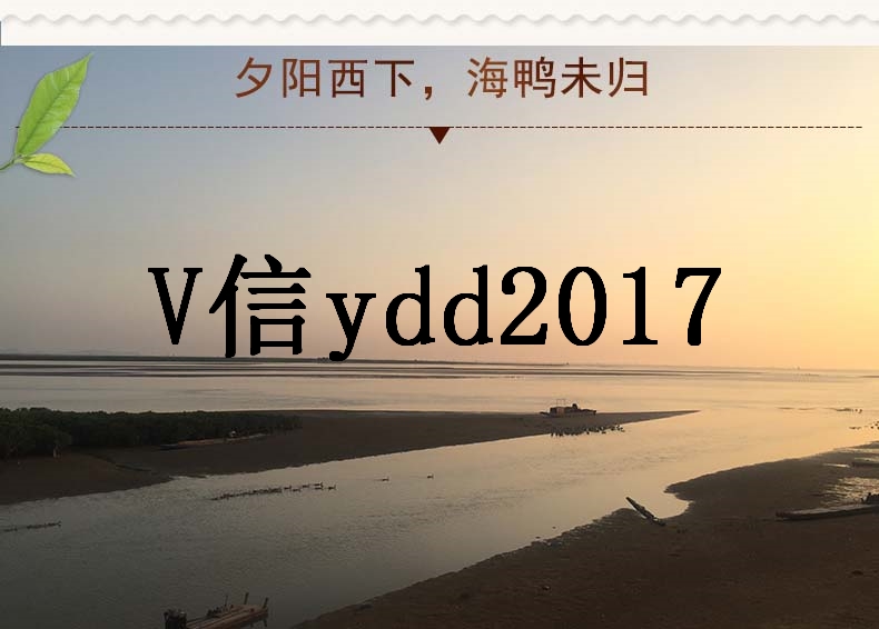 廣西北部灣海鴨蛋熟咸鴨蛋*流油海鴨蛋70克30枚裝包郵 流沙海鴨蛋