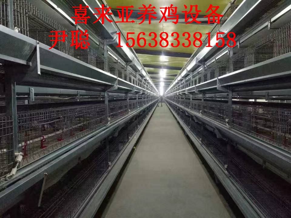 H型層疊式蛋雞籠*型好用的雞籠，智能型蛋雞籠全自動化養(yǎng)雞設(shè)備
