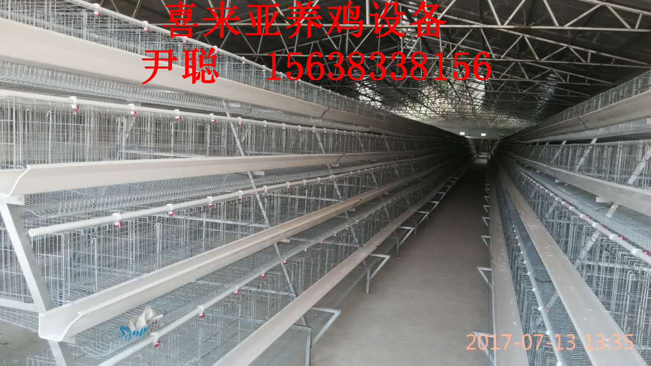 A型階梯式蛋雞籠廠家在哪里，喜來亞設(shè)備*，質(zhì)量好 A型階梯式蛋雞籠廠家