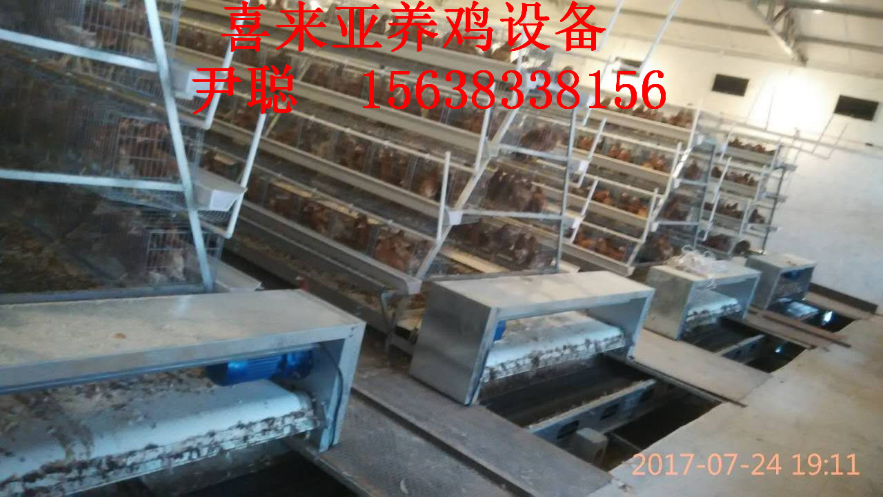 供應(yīng)湖北潛江階梯A型蛋雞籠*傳送帶清糞機履帶清糞機，絕不跑偏