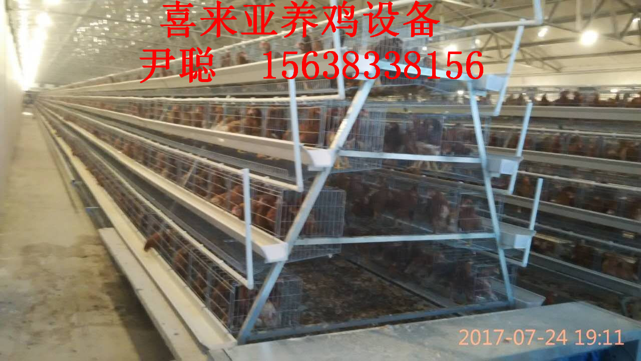 哪里的雞籠好，什么雞籠價格便宜