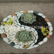 鵝卵石 鵝卵石  鵝卵石 天然鵝卵石