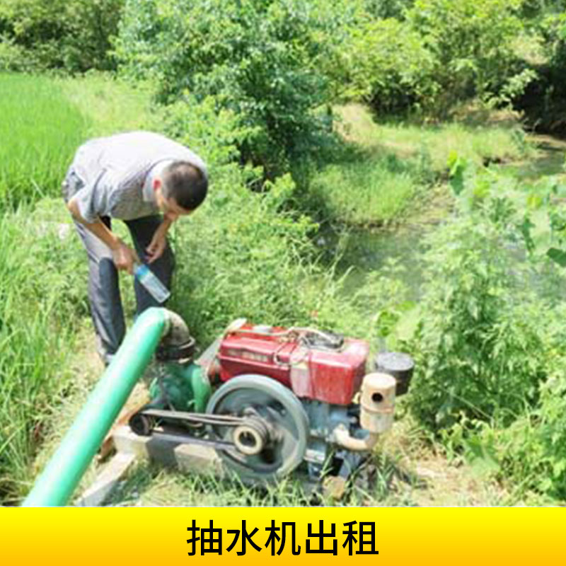 *機組出租農(nóng)用灌溉抗旱泄洪電動*機潛水泵自吸泵租賃