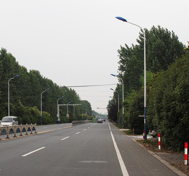 揚(yáng)州弘旭照明生產(chǎn)9米路燈自彎臂路燈單頭雙頭道路燈