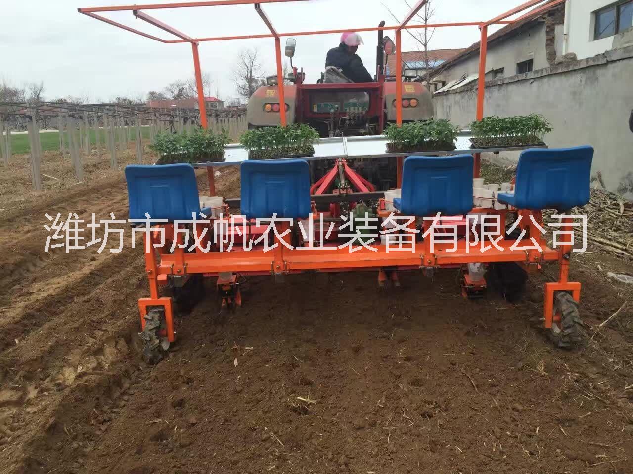 成帆2ZBX-4型牽引式移栽機(jī) 辣椒 油用牡丹 西蘭花 甘藍(lán)