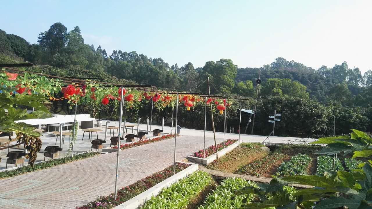 深圳農(nóng)家樂野炊燒烤一日游