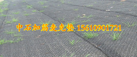 加筋麥克墊|鍍高爾凡護(hù)坡加筋麥克墊|河道治理生態(tài)格賓麥克墊