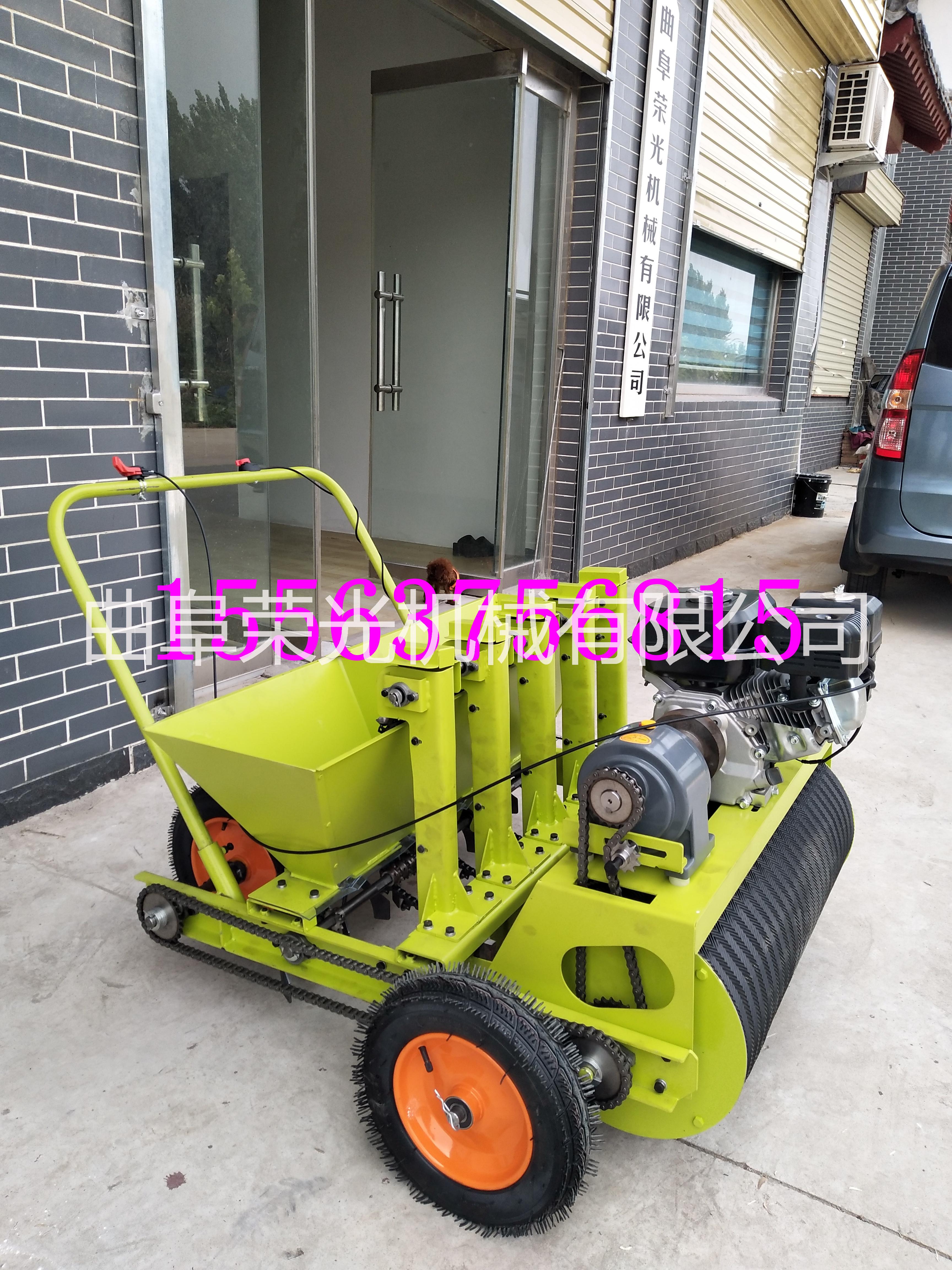 廠家供應(yīng)大蒜播種機(jī)  大蒜種植機(jī)