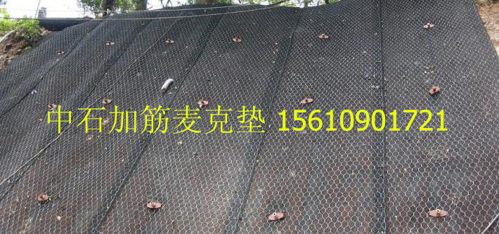 加筋麥克墊在河道生態(tài)護(hù)岸的意義