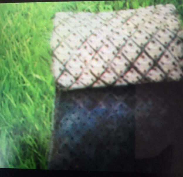 黑龍江水稻種植