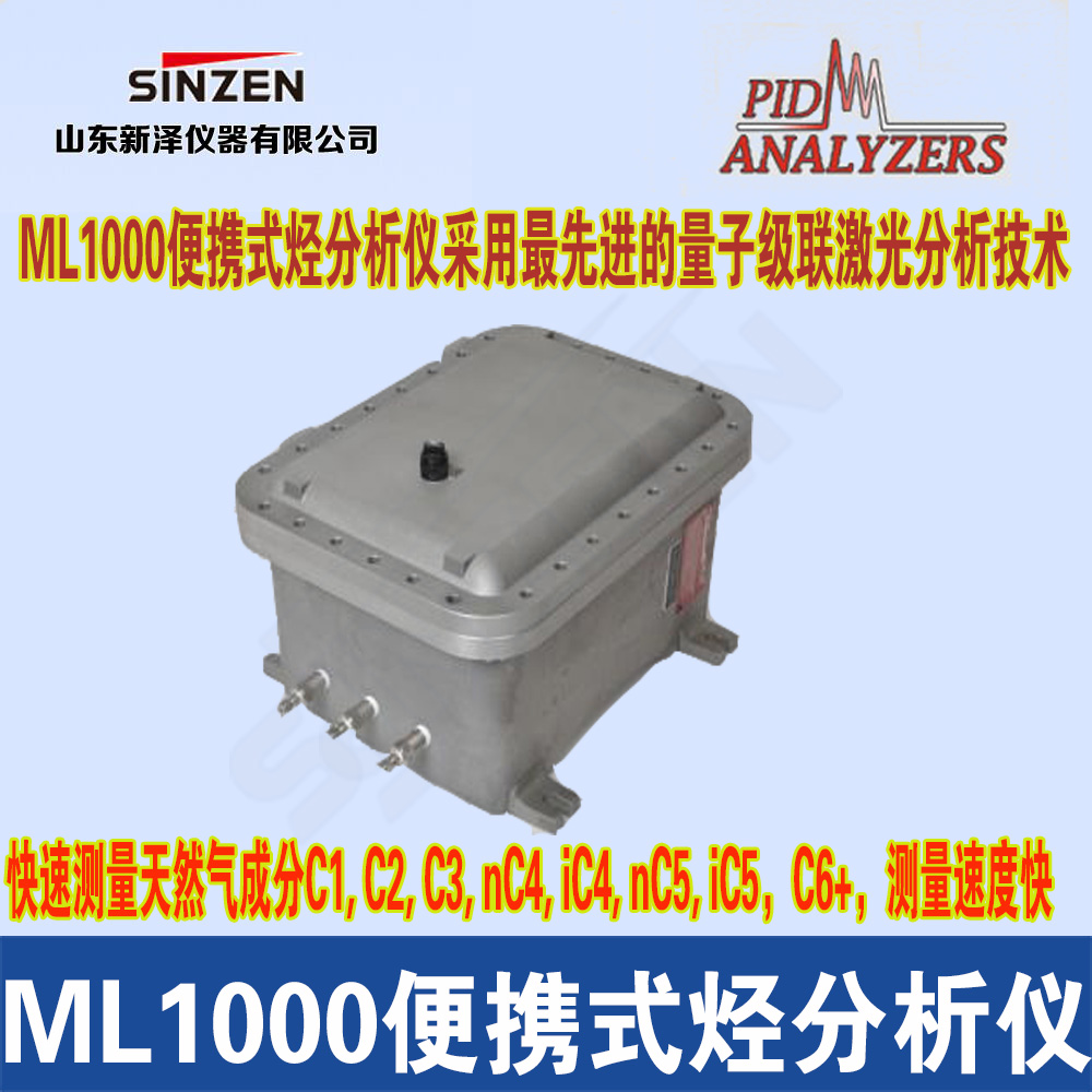 ML1000便攜式烴分析儀