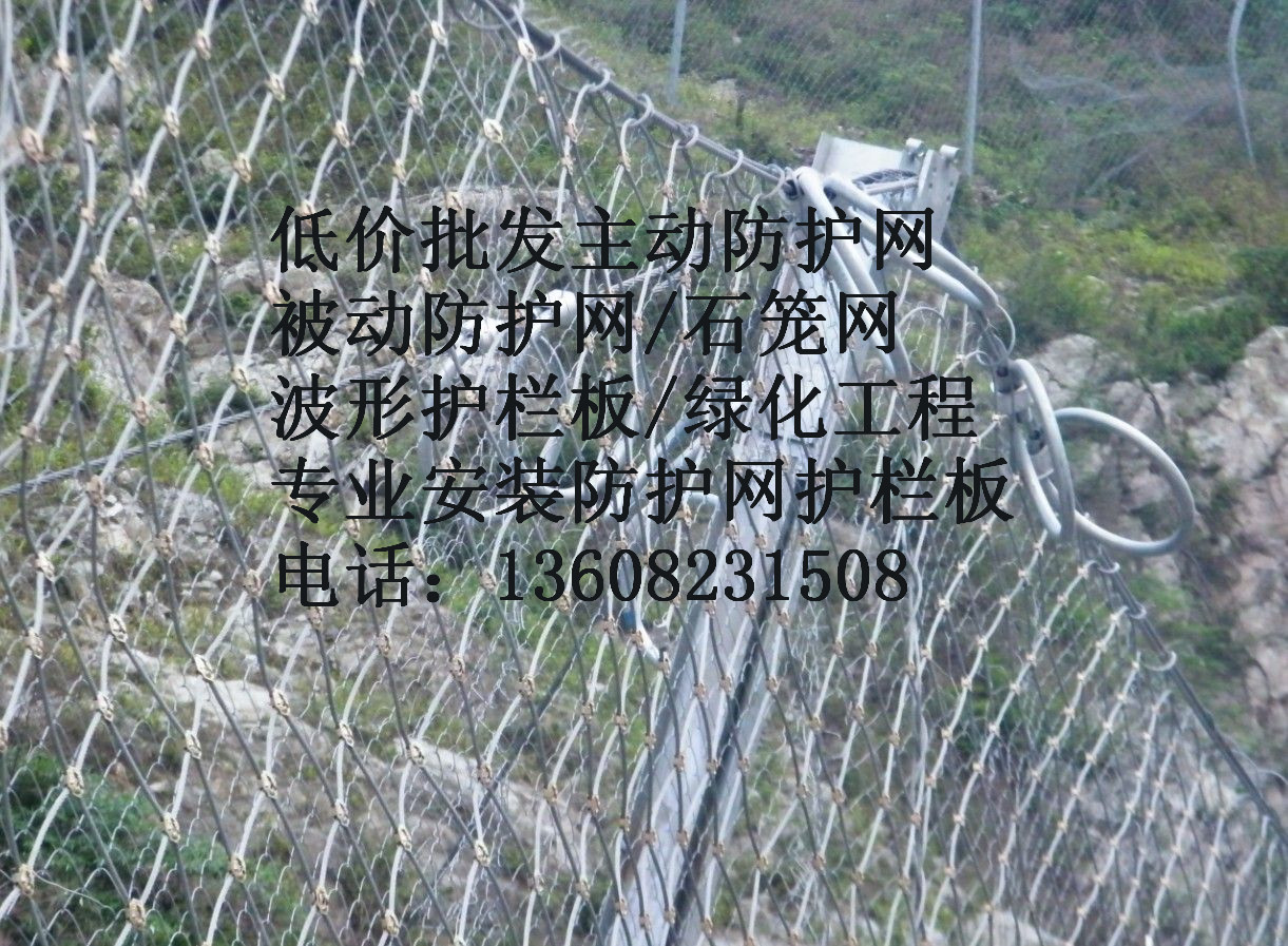 RXI100被動防護網RXI-100被動網-環(huán)形網-湖北廠家