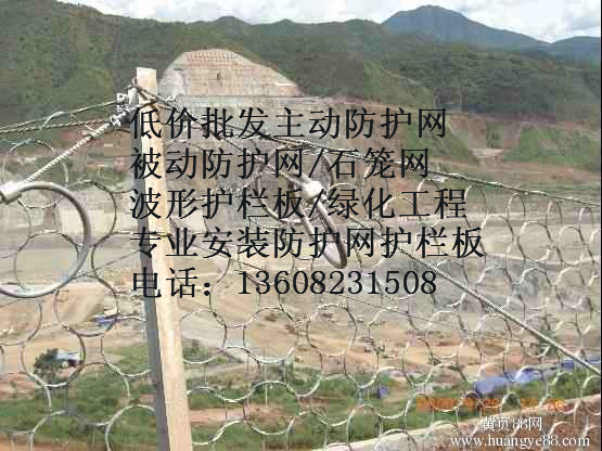 rx025被動防護(hù)網(wǎng)（成都被動網(wǎng)廠家）專業(yè)施工 成都被動防護(hù)網(wǎng)