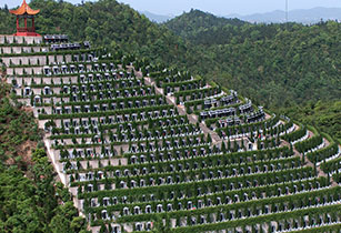 陵園管理系統(tǒng)