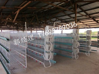 河南金興河南金興層疊育雛籠，雛雞籠層疊育雛籠，雛雞籠