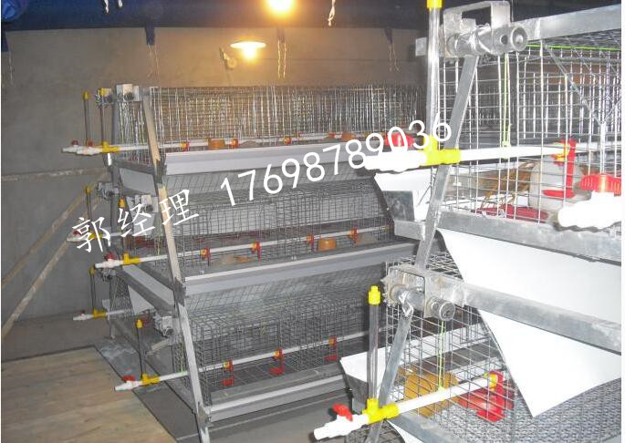 河南金興河南金興層疊育雛籠，雛雞籠層疊育雛籠，雛雞籠
