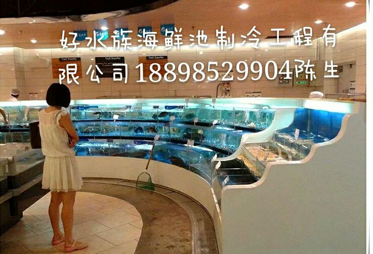 廣州定做超市海鮮 設(shè)計(jì)水產(chǎn)魚(yú)池
