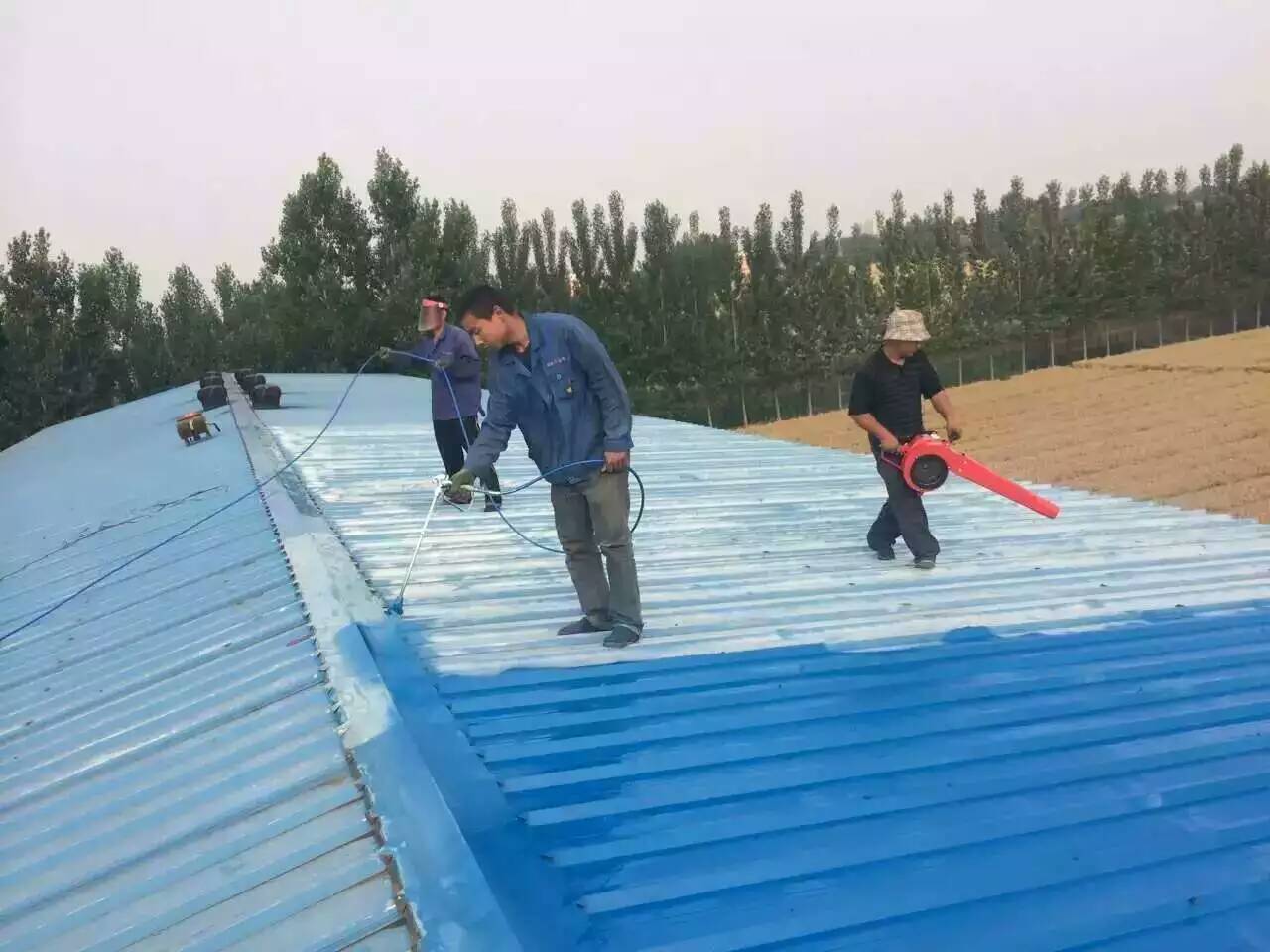 承接湖州、嘉興、安吉、富陽(yáng)、義務(wù)、永嘉、麗水、臨海、奉化、寧波、慈溪等地彩鋼瓦除銹翻新