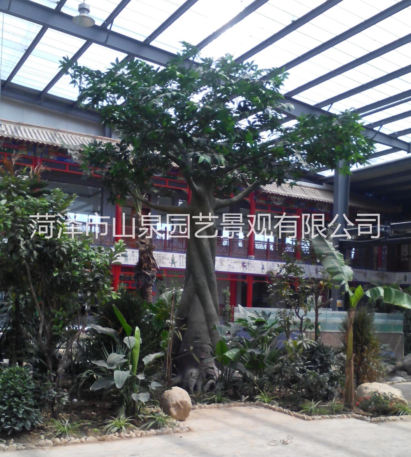 假樹 仿真紅楓樹