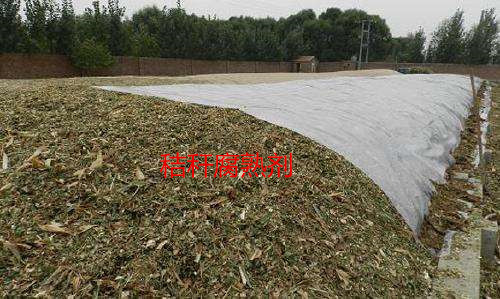 玉米青貯發(fā)酵劑的價(jià)格