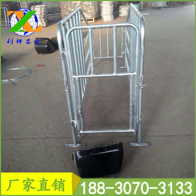 豬用定位欄母豬限位欄尺寸定位欄生產(chǎn)可加工定制十個豬位一套