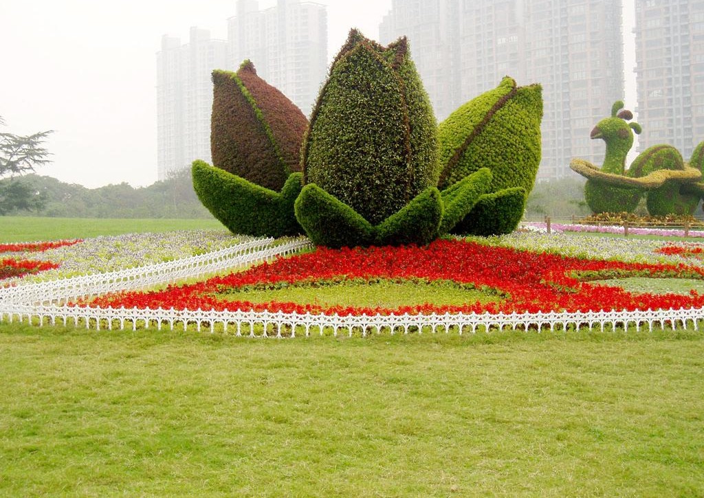 河南五色草種植批發(fā)基地 五色草造型 立體花壇 植物綠雕