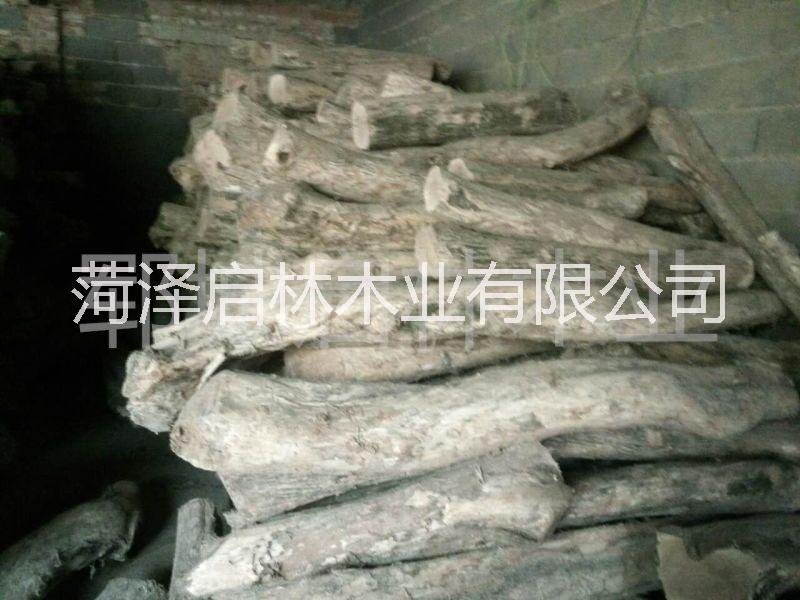 供應(yīng)于工藝品/木雕的黃楊木/優(yōu)質(zhì)大徑黃楊木/優(yōu)質(zhì)黃楊木大量批發(fā)