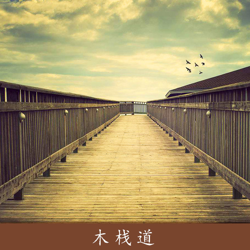 濕地公園防腐木棧道親水平臺(tái)生態(tài)木地板園林戶(hù)外木塑棧道