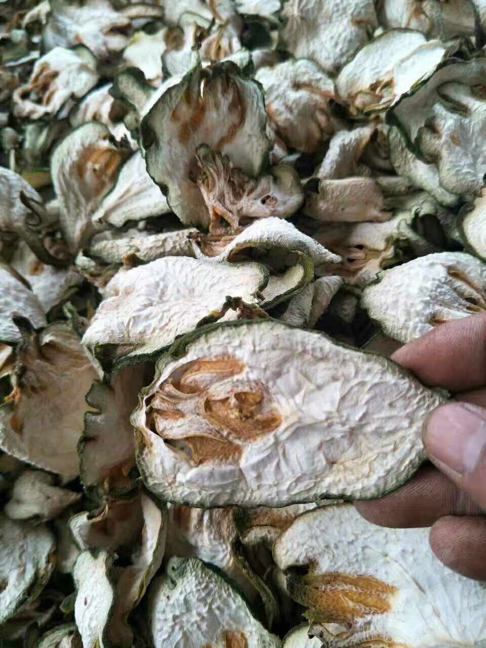 佛手初加工片哪里有