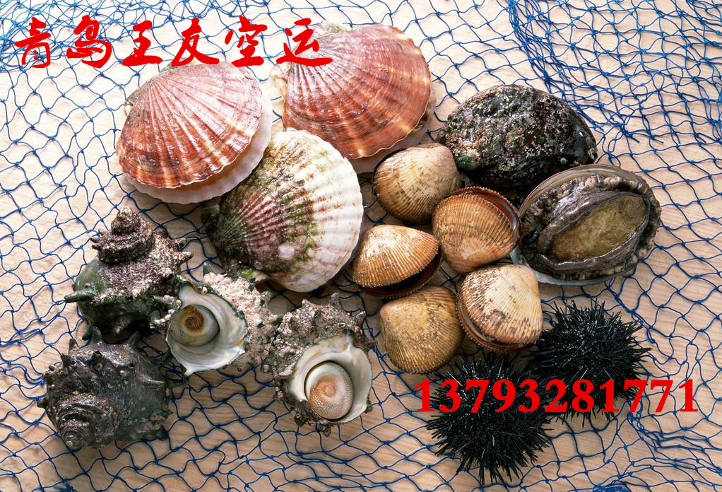 國(guó)內(nèi)航空貨運(yùn) 空運(yùn)紅酒 空運(yùn)凍肉 青島國(guó)內(nèi)航空貨運(yùn) 青島空運(yùn)紅酒 青島國(guó)內(nèi)航空貨運(yùn) 青島空運(yùn)櫻桃