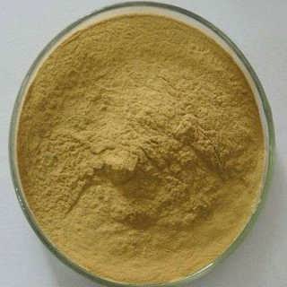 無患子提取物 無患子皂甙苷40% 無患子提取物哪家好 無患子提取物生產(chǎn)廠家 無患子提取物*惠