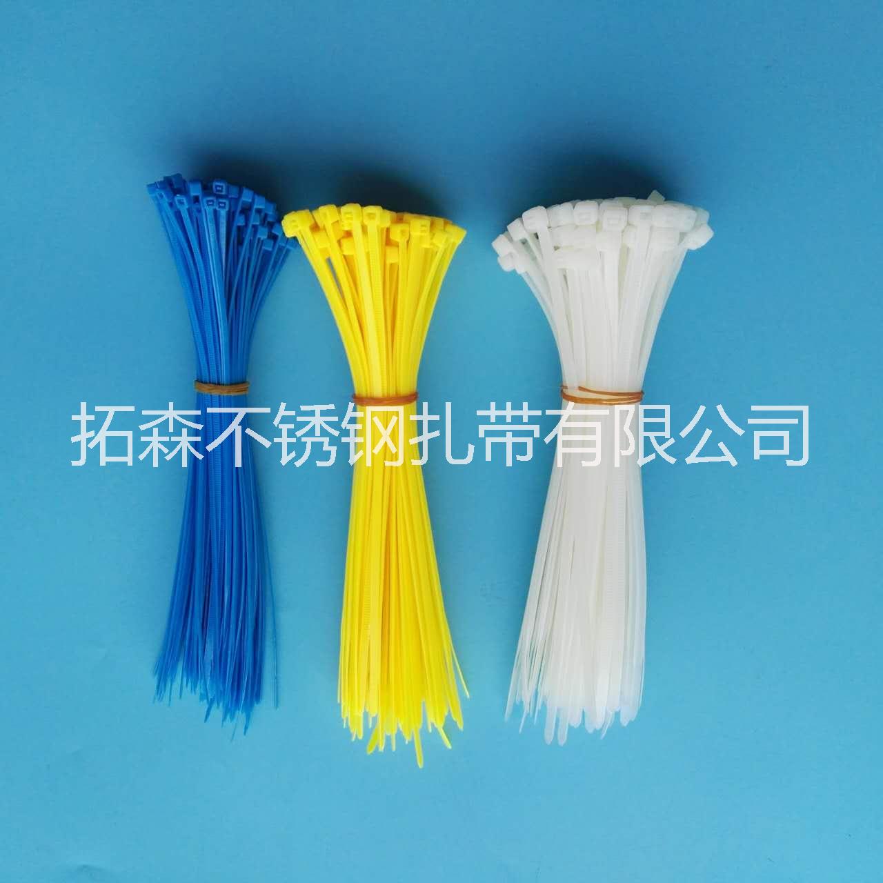廠家直銷不銹鋼扎帶 尼龍扎帶 電纜接頭 膨脹管量大從優(yōu)