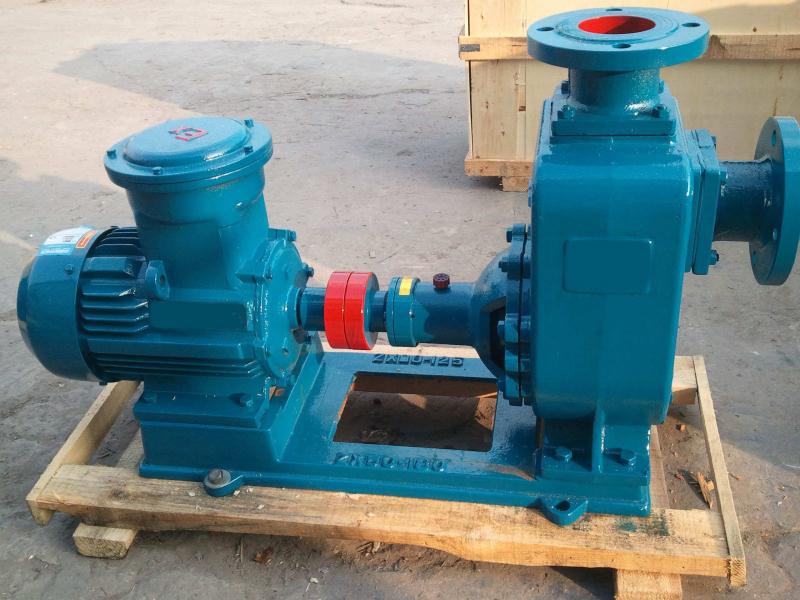 廠家直銷瑞達(dá)泵業(yè)瑞達(dá)ZCQ型自吸式磁力泵河北泊頭