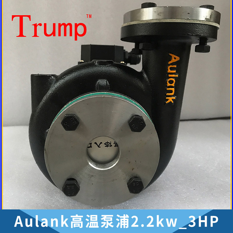 模溫機(jī)油泵RGP-30－120導(dǎo)熱油泵模溫機(jī)油泵2.2kw/3hp熱水泵 Aulank高溫泵浦2.2kw