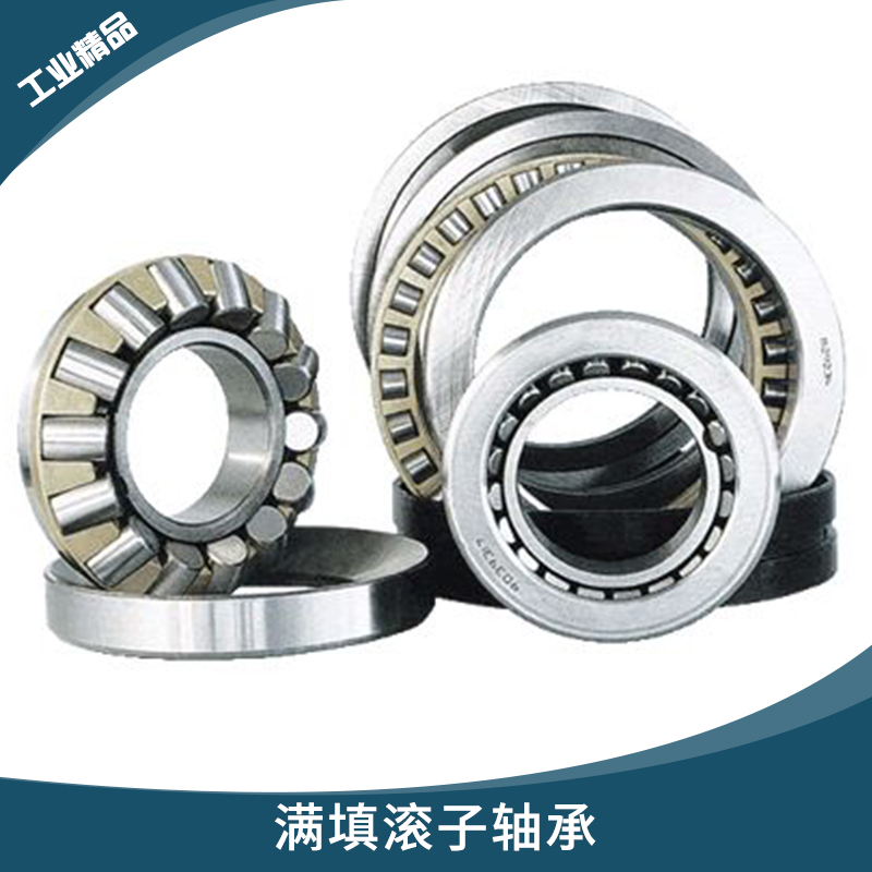 德國(guó)TDN系列進(jìn)口軸承 滿填滾子軸承 多排列滿裝圓柱滾子軸承