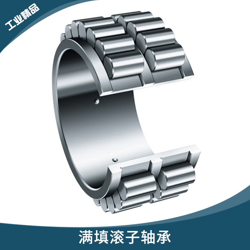 德國(guó)TDN系列進(jìn)口軸承 滿填滾子軸承 多排列滿裝圓柱滾子軸承