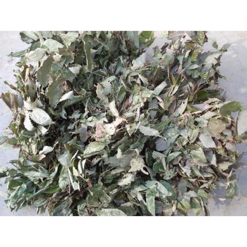 銀羊藿提取物 銀羊藿單甙10% 銀羊藿提取物哪家好 銀羊藿提取物廠家 銀羊藿提取物廠家直銷 銀羊藿提取物