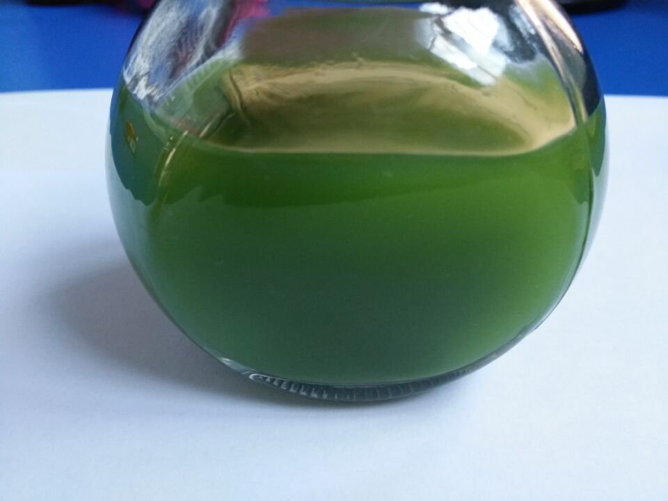 大麥苗粉 大麥若葉青汁 大麥苗粉廠家 大麥苗粉哪家好 大麥苗粉500目 大麥苗汁粉