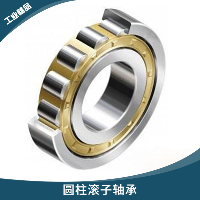 德國TDN系列 圓柱滾子軸承 電動(dòng)機(jī)/內(nèi)燃機(jī)高徑向負(fù)荷線接觸軸承 TDN軸承