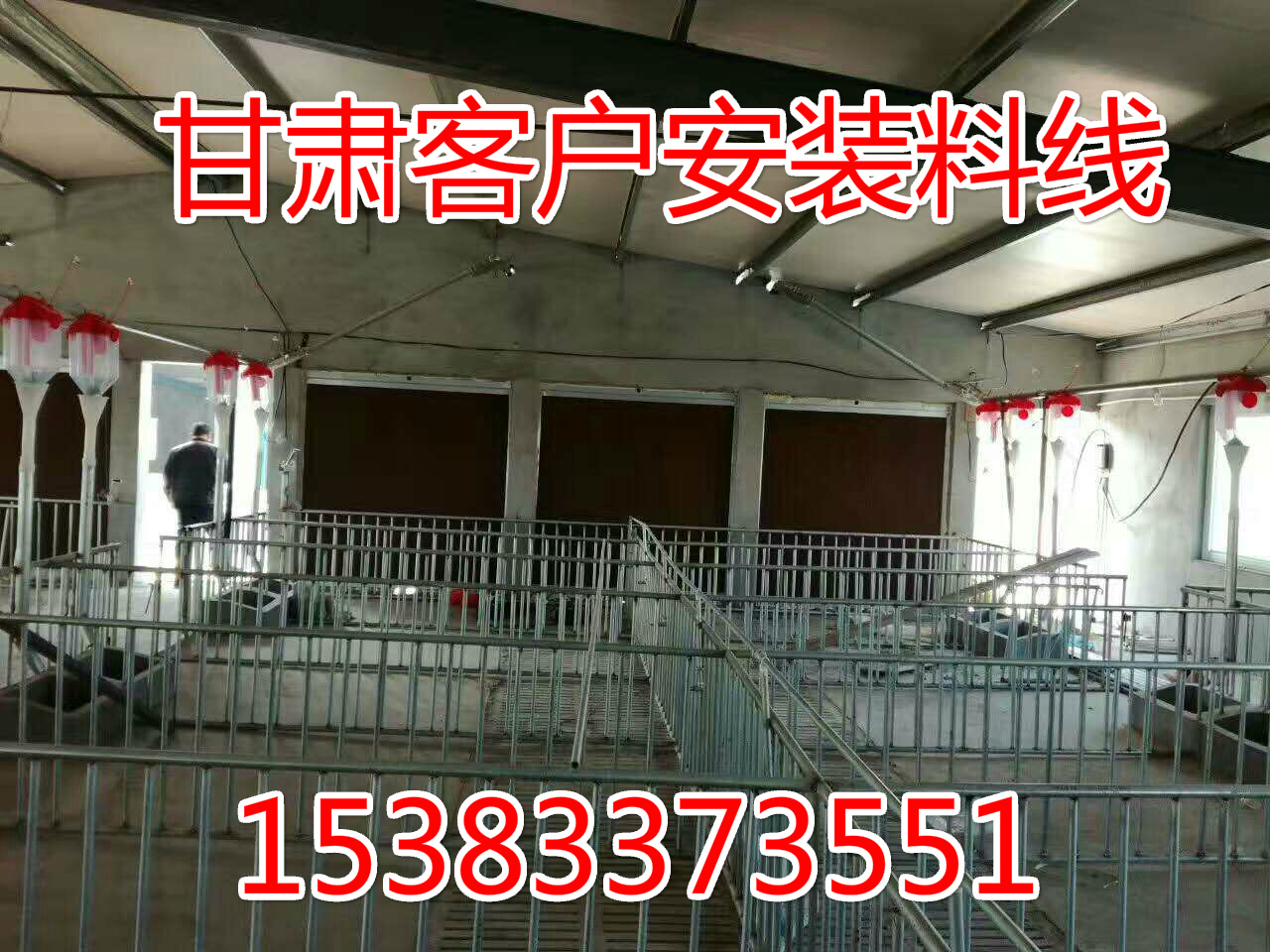 連體定位欄懷孕豬保胎欄新款養(yǎng)豬限位欄設(shè)計安裝